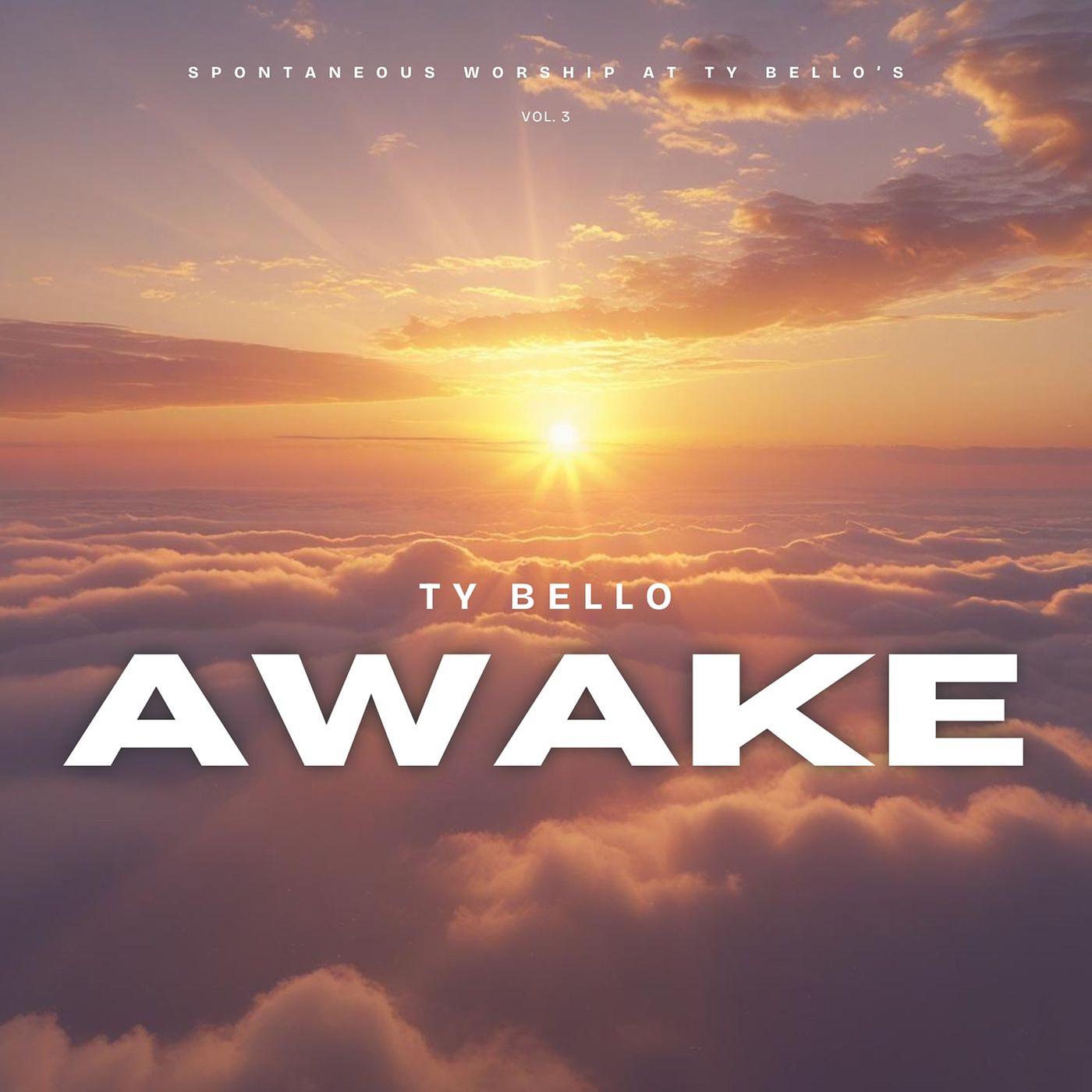 Awake artwork